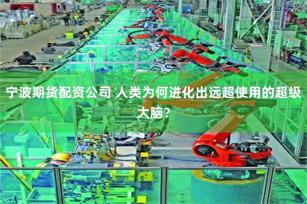 宁波期货配资公司 人类为何进化出远超使用的超级大脑？