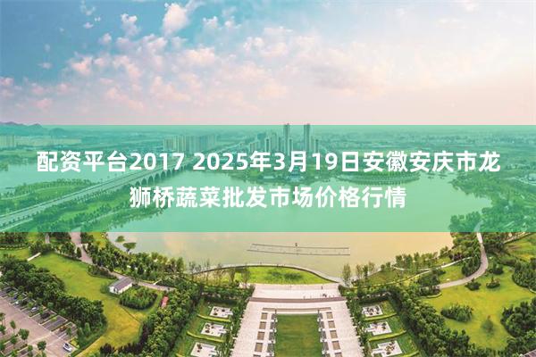 配资平台2017 2025年3月19日安徽安庆市龙狮桥蔬菜批发市场价格行情