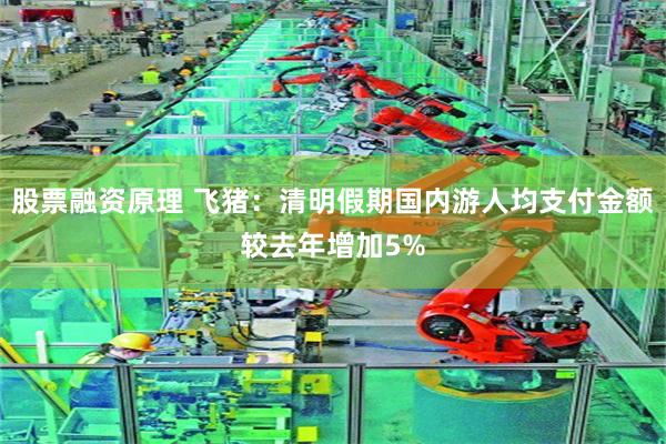 股票融资原理 飞猪：清明假期国内游人均支付金额较去年增加5%