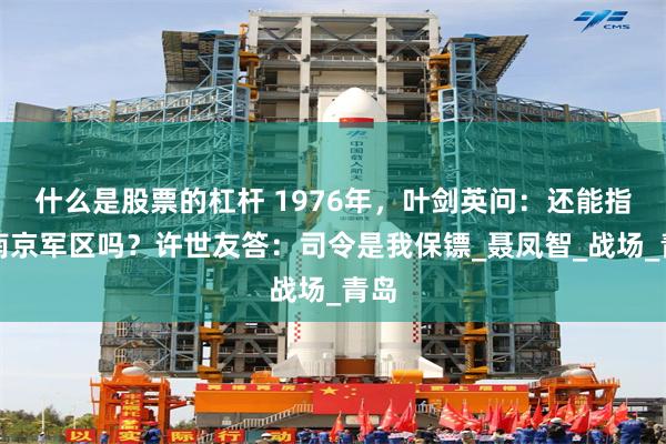 什么是股票的杠杆 1976年，叶剑英问：还能指挥南京军区吗？许世友答：司令是我保镖_聂凤智_战场_青岛