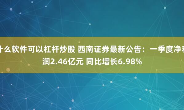 什么软件可以杠杆炒股 西南证券最新公告：一季度净利润2.46亿元 同比增长6.98%