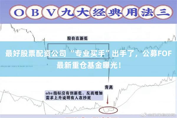 最好股票配资公司 “专业买手”出手了，公募FOF最新重仓基金曝光！