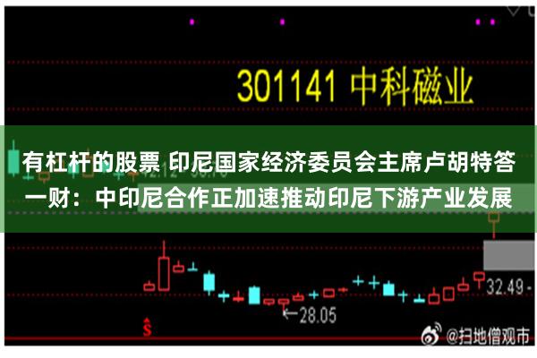 有杠杆的股票 印尼国家经济委员会主席卢胡特答一财：中印尼合作正加速推动印尼下游产业发展