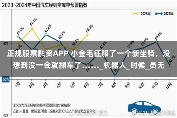正规股票融资APP 小金毛征服了一个新坐骑，没想到没一会就翻车了……_机器人_时候_员无