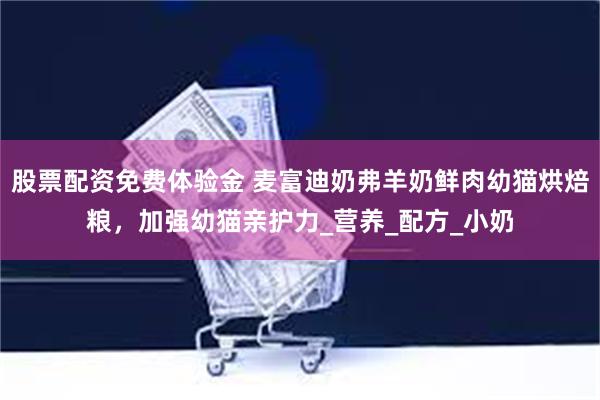 股票配资免费体验金 麦富迪奶弗羊奶鲜肉幼猫烘焙粮，加强幼猫亲护力_营养_配方_小奶