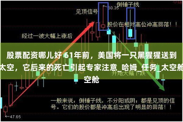 股票配资哪儿好 61年前，美国将一只黑猩猩送到太空，它后来的死亡引起专家注意_哈姆_任务_太空舱