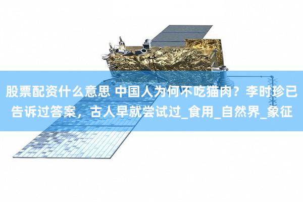 股票配资什么意思 中国人为何不吃猫肉？李时珍已告诉过答案，古人早就尝试过_食用_自然界_象征