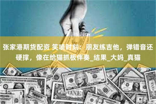 张家港期货配资 笑喷时刻：朋友练吉他，弹错音还硬撑，像在给猫抓板伴奏_结果_大妈_真猫