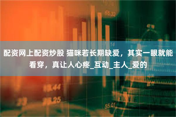 配资网上配资炒股 猫咪若长期缺爱，其实一眼就能看穿，真让人心疼_互动_主人_爱的