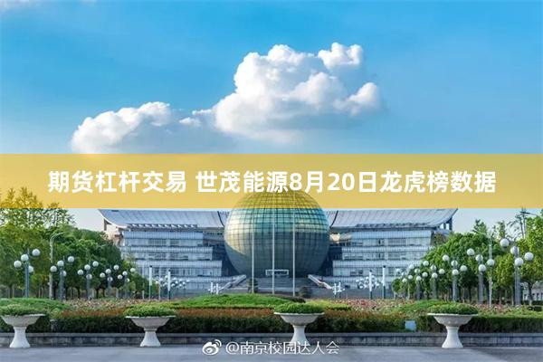 期货杠杆交易 世茂能源8月20日龙虎榜数据