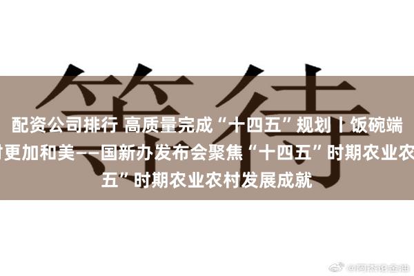 配资公司排行 高质量完成“十四五”规划丨饭碗端得更牢 乡村更加和美——国新办发布会聚焦“十四五”时期农业农村发展成就